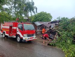 Hujan dan Angin Kencang Tumbangkan Pohon Disejumlah Lokasi di Aceh Besar 
