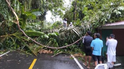 Cuaca Buruk di Kota Sabang, 20 Rusak Tertimpa Pohon dan Diterjang Angin Kencang