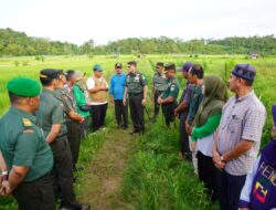 Pangdam Iskandar Muda Tinjau Program Optimalisasi Lahan di Simeulue