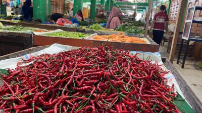 Harga Cabai dan Bawang Merah di Sabang Turun Drastis