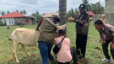 Dinas Pertanian Aceh Besar Tingkatkan Pelayanan Peternakan dan Kesehatan Hewan