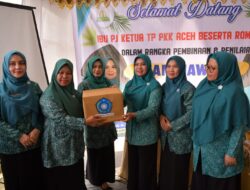 Pj Ketua TP PKK Aceh Dorong Ibu Gampong Mane Kreatif Ciptakan Berbagai Produk Kerajinan Unggulan