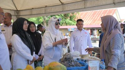 Kunjungi Pasar Tani Distanbun Aceh, Pj Ketua PKK Aceh Dorong Pemanfaatan Produk Lokal dan Usaha Kecil