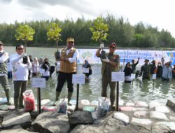 Pj Gubernur Safrizal Bersama Kepala BNPB Tanam Mangrove di Kuala Cangkoi
