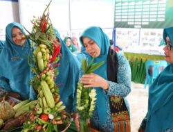 Pj Ketua PKK Aceh Lakukan Pembinaan Program Gammawar di Gampong Padang Seurahet Aceh Barat