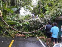 Kejadian Bencana di Sabang Menurun, Masyarakat Diimbau Tetap Waspada