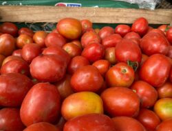 Akhir Oktober, Harga Kebutuhan Pokok di Kota Sabang Mengalami Kenaikan