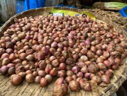 Harga Cabai Merah dan Bawang Merah di Sabang Mengalami Kenaikan