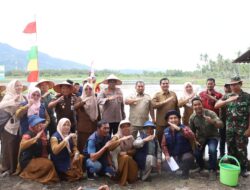 Pj Bupati Iswanto Bersama Forkopimda Tanam Padi Perdana di Simpang Tiga