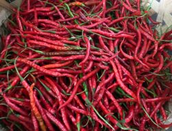 Harga Bumbu Dapur Naik, Harga Kentang dan Wortel Turun di Sabang