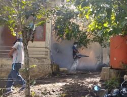 Angka DBD di Kota Sabang Meningkat Capai 117 Kasus