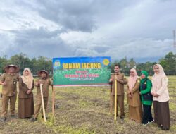 Dukung Ketahanan Pangan, Halaman Meuligoe Bupati Aceh Besar Ditanami Jagung Manis