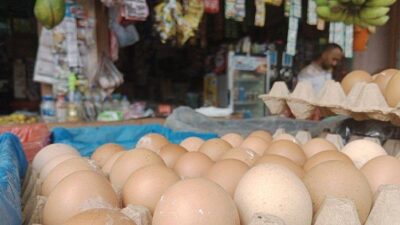 Harga Telur Ayam dan Minyak Goreng Naik di Sabang
