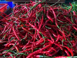 Harga Bumbu Dapur di Sabang Tak Stabil
