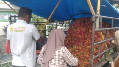 Banda Aceh dan Aceh Besar Musim Rambutan, Harga Turun di Pasaran