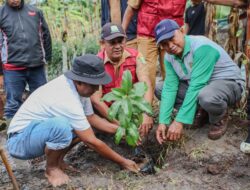 Distanpangan Kota Sabang Gelar Aksi “Tahiroe Aceh” Hijaukan Nanggroe