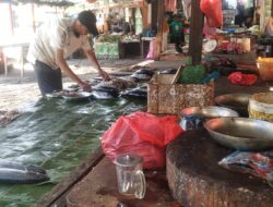 Nelayan Tak Melaut, Harga Ikan Bergerak Naik Disejumlah Pasar di Banda Aceh