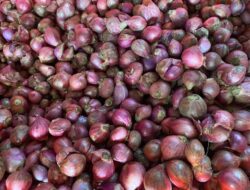 Komoditas Bumbu Dapur di Sabang, Harga Cabai dan Bawang Bergerak Naik