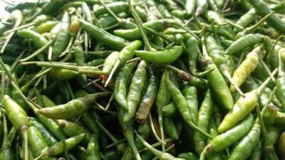 Libur Nataru, Harga Cabai dan Bawang Merah di Sabang Naik
