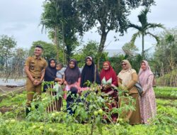 Tingkatkan Gizi Masyarakat, Distan dan Pangan Bersama P2L Sabang Panen Sayuran