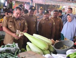 Pj Bupati Aceh Besar Tinjau Pasar Induk Lambaro, Harga dan Ketersediaan Pangan Stabil