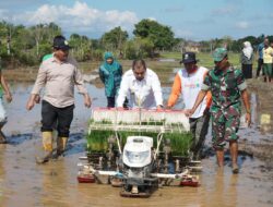 Pj Bupati Iswanto Tanam Padi dengan Rice Transplanter di Gampong Bueng Kota Jantho