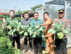 Kepala BNN Kota Banda Aceh Hadiri Penanaman dan Panen Hasil Lifeskill Gampong Bersinar