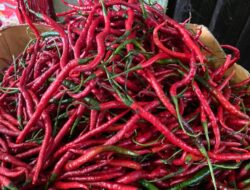 Awal 2025, Harga Bumbu Dapur di Kota Sabang Naik Drastis
