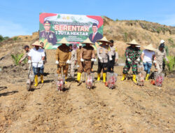 Penanaman Jagung Serentak Program 1 Juta Hektar Polres Aceh Barat