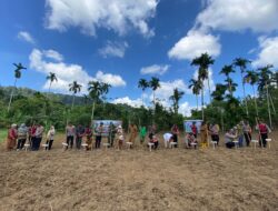 Distanpangan Sabang Dukung Program Penanaman Jagung Serentak Polres Sabang