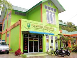 Selama 2024 Ditemukan 64 Kasus DBD di Sukakarya Sabang, Semua Pasien Sembuh