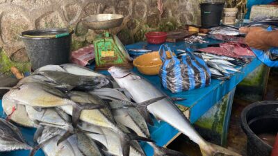 Sempat Langka Akibat Cuaca Buruk, Stok Ikan di Kota Sabang Kembali Stabil