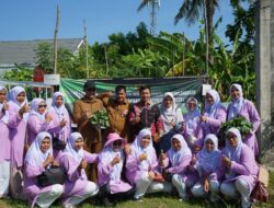 Farid Nyak Umar Panen Sayur-mayur di Gampong Lampulo