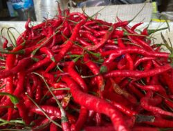 Jelang Ramadhan 1446 H, Stok dan Harga Bumbu Dapur di Sabang Stabil