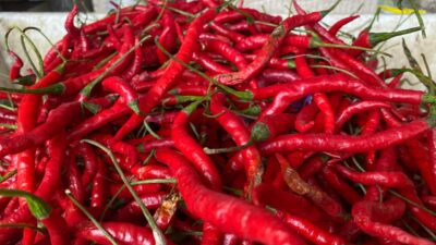 Jelang Ramadhan 1446 H, Stok dan Harga Bumbu Dapur di Sabang Stabil