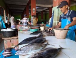 Jelang Ramadhan 1446 H, Harga Ikan di Sabang Stabil