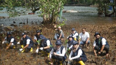 Ratusan Batang Mangrove Ditanam di Gampong Bateshok Sabang