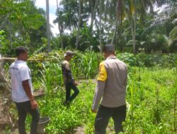 Dukung Program Astacita, Personil Polsek Seunagan Tinjau Lahan Ketahanan Pangan