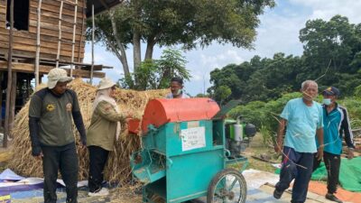 Distanpangan Sabang Pantau Perontokan Padi Gogo di Ujong Seuke