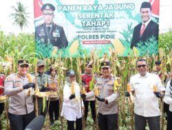 Wakapolda Aceh Panen Raya Jagung Tahap I Secara Serentak di Kabupaten Pidie