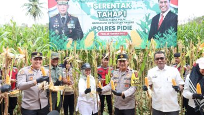 Wakapolda Aceh Panen Raya Jagung Tahap I Secara Serentak di Kabupaten Pidie