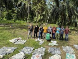 Tim Gabungan Bea Cukai Aceh Ungkap Penyelundupan 188 kg Narkotika Jalur Laut Aceh Tamiang