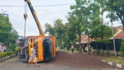 Truk Terguling di Simpang Dodik, Muatan Sawit Brondol Tumpah ke Badan Jalan