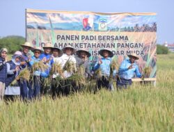 Wabup Aceh Besar Panen Padi Bersama di Lahan Ketahanan Pangan Lanud SIM