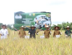 Pemkab Aceh Barat Panen Raya Padi Bersama Presiden Prabowo Secara Virtual