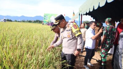 Kapolres Aceh Besar Hadiri Panen Raya Padi Serentak 14 Provinsi di Lamcarak Kecamatan Seulimeum