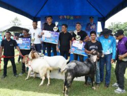 Dihadiri Bupati Syech Muharram, Pemkab Aceh Besar dan Lanud SIM Gelar Kontes Kambing dan Domba