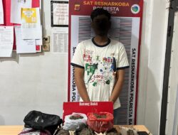 3,7 Kg Ganja dan Tersangka Diamankan Satresnarkoba Polresta Banda Aceh