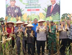 Wujud Sinergi Dukung Ketahanan Pangan, Kapolres Nagan Raya Hadiri Panen Raya Jagung Tumpang Sari