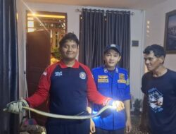 Petugas Damkar BPBD Aceh Besar Evakuasi Ular Dari Rumah Warga di Lhoknga
